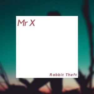 Mr X