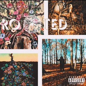 Rooted (Explicit)