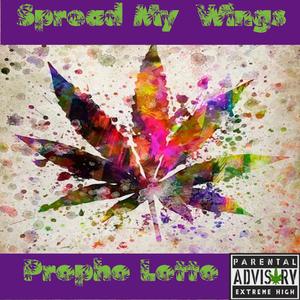 Spread My Wings (Explicit)