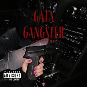 Gata Gangster (Explicit)