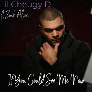 If You Could See Me Now (feat. Zach Alwin)