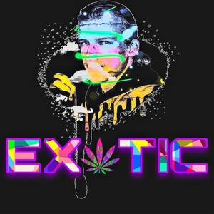 EXOTIC (Explicit)