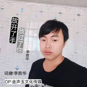 放开了手放过了你