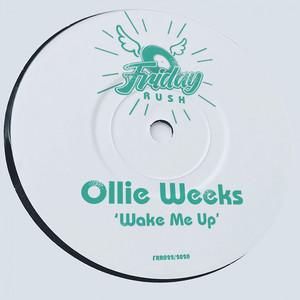 Wake Me Up (Original Mix)
