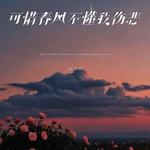 可惜春风不懂我伤悲-杨不乖
