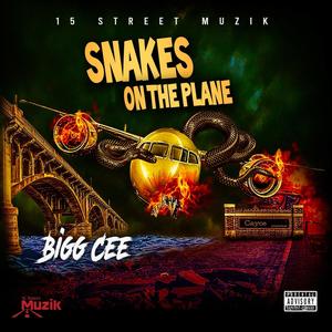 Snakes On The Plane (Explicit)