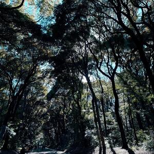 Stop Hearts (feat. Adamn Killa) (Explicit)