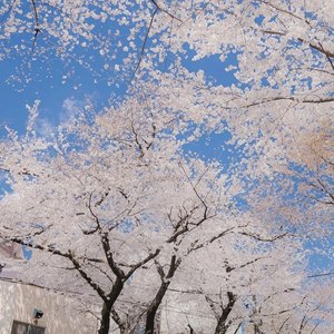 夏季的雨天