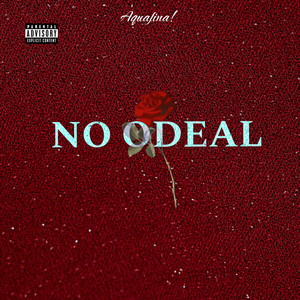 No Ideal (Explicit)