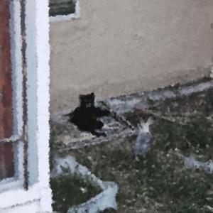 d (feat. coachzilla)