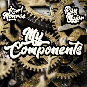 My Components (feat. DJ Penthaus) [RPS]