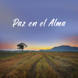 Paz En El Alma