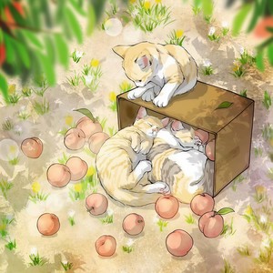 你曾是少年 (Single Version)