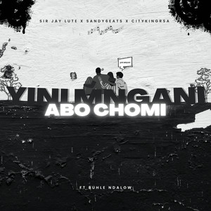 Yini Mngani (Abo Chomi)