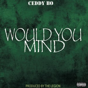 Would You Mind (Explicit)