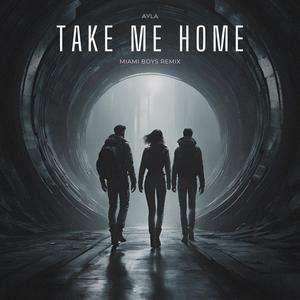 Take Me Home (Miami Boys Remix)