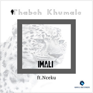 Imali (feat. Nceku)