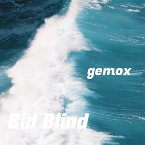 Bid Blind (PHONK)
