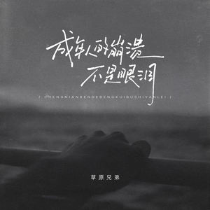 草原兄弟 - 成年人的崩溃不是眼泪