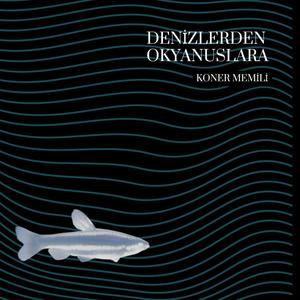 Denizlerden Okyanuslara