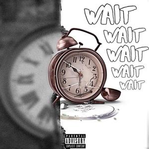 Wait (Explicit)