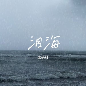 泪海-太头针