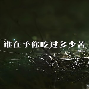 谁在乎你吃过多少苦 (DJ豪大大版)