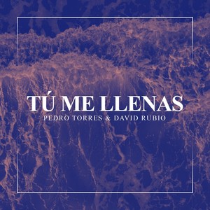 Tú Me Llenas (feat. Pedro Torres)