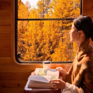 星光下的梦想 (钢琴版)