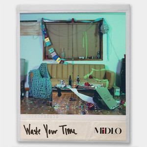 Waste Your Time (Explicit)