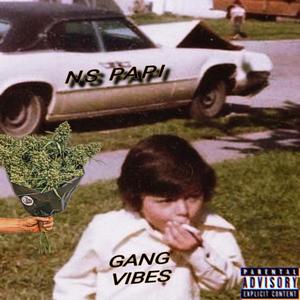 Gang Vibes (Explicit)