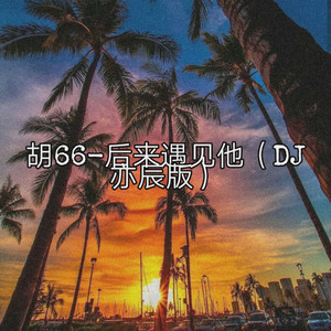 后来遇见他 (DJ亦辰版伴奏)
