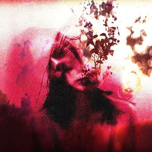 Apology Letters (feat. Ulter) (Explicit)