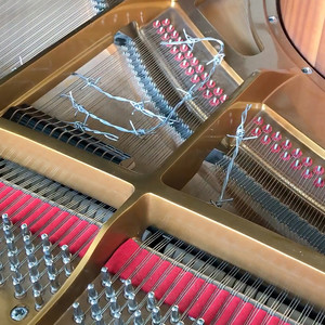 Un fiore sincero per piano spinato (feat. Mario Conte)