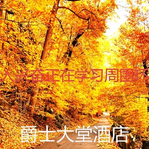 一尘不染休息中印象数