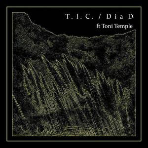 DIA D (feat. Toni Temple)