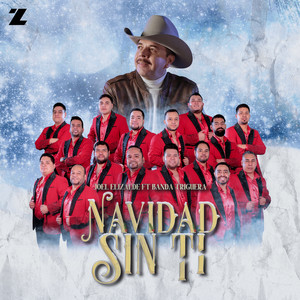 Navidad Sin Ti