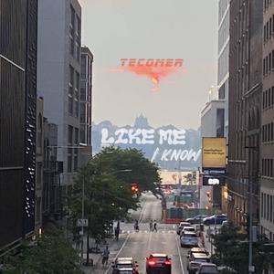 Like Me (feat. Southsidesu) (Explicit)