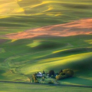 莫斯科郊外的晚上 (Live)