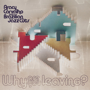 Why Are You Leaving?