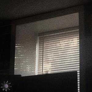 so monochrome for a melody (until the sun dies)