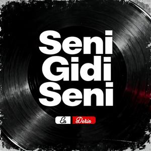 Seni Gidi Seni