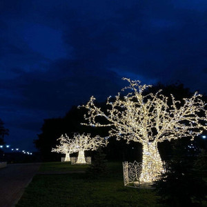 сходишь с ума