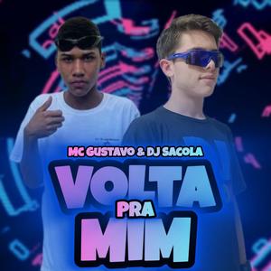 Volta Pra Mim (feat. MC Gustavo)