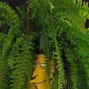 Pourin dat phonk (feat. BACKWOOD BOY)