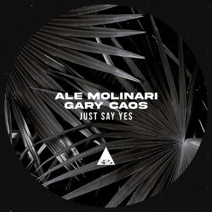 Just Say Yes (Original Mix)