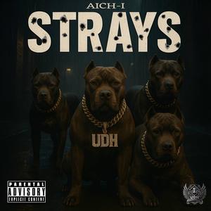 STRAYS (Explicit)