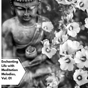 Enchanting Life With Meditation Melodies, Vol. 01