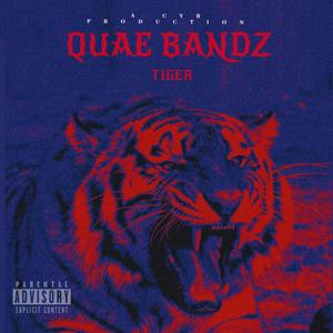 TIGER (Explicit)