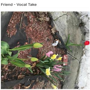 Friend (feat. Peter Calo)